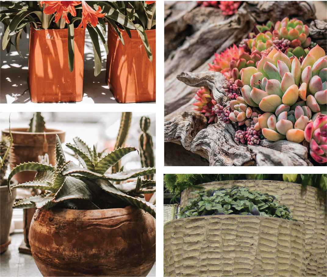 collage image of flower pots