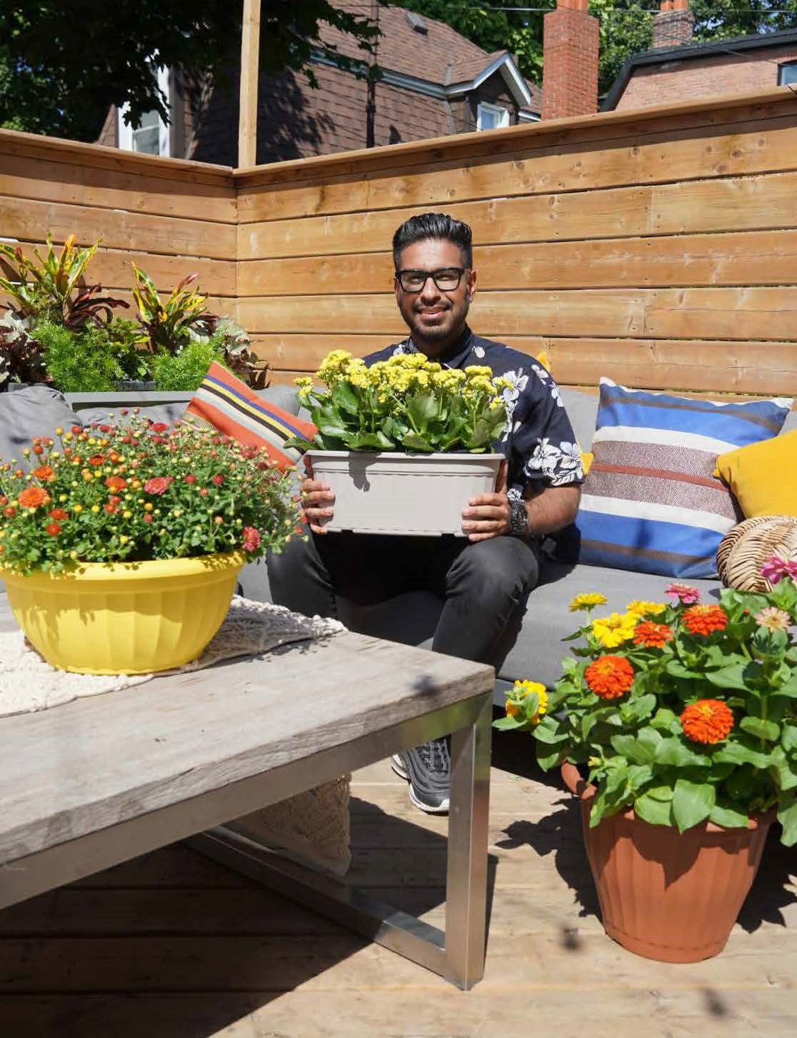 Image of pots of plants