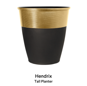 image of Hendrix Bowl